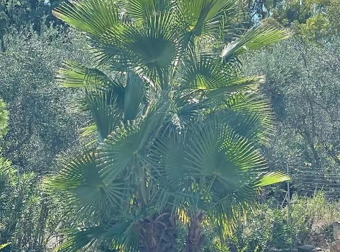 아파트 Luxury & Pool