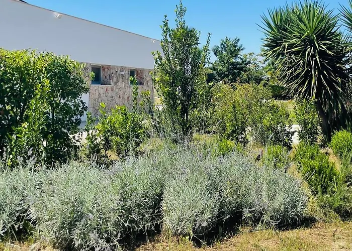 아파트 Luxury & Pool 레퀼레