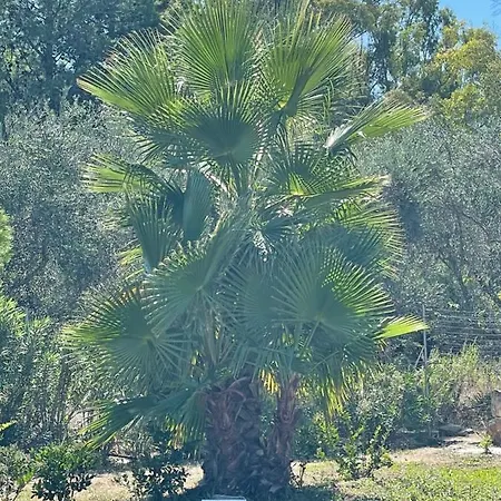 Διαμέρισμα Luxury & Pool