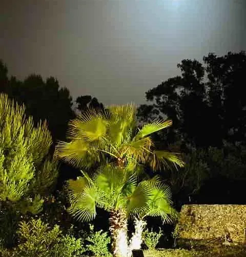 Luxury & Pool Lequile